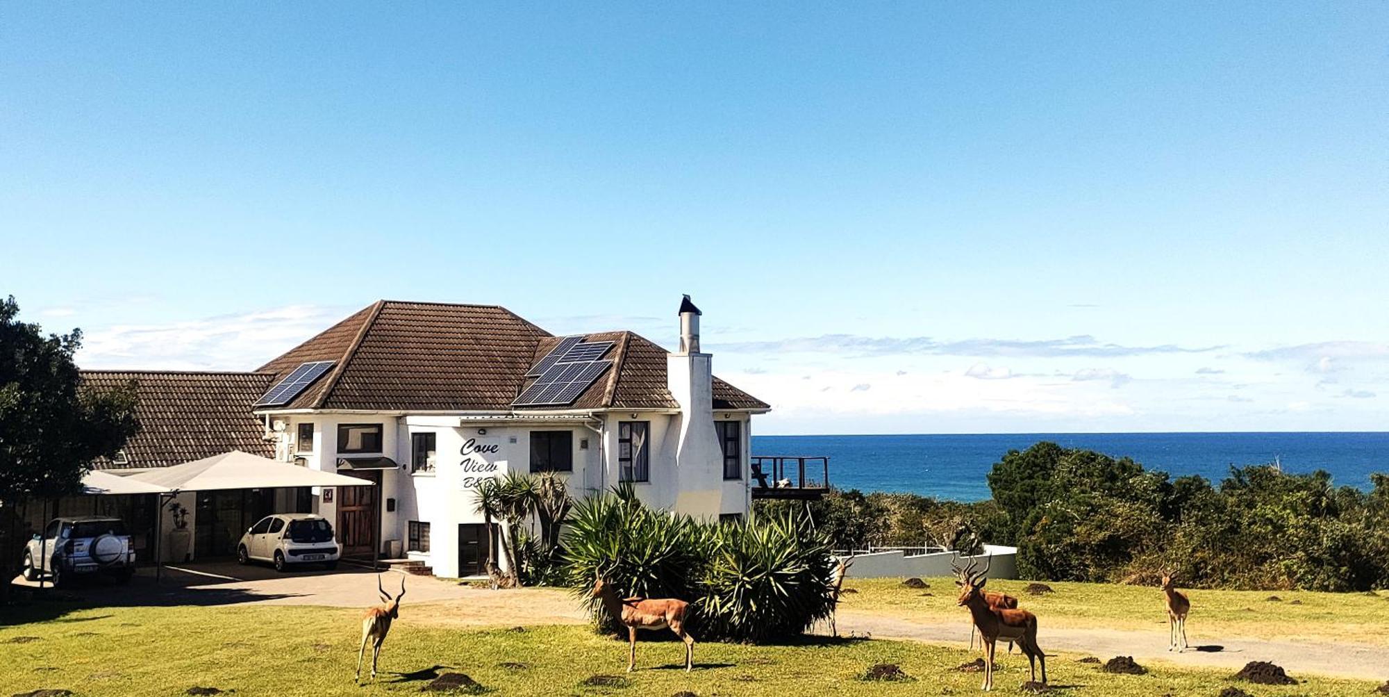 Cove View B&B イースト・ロンドン エクステリア 写真
