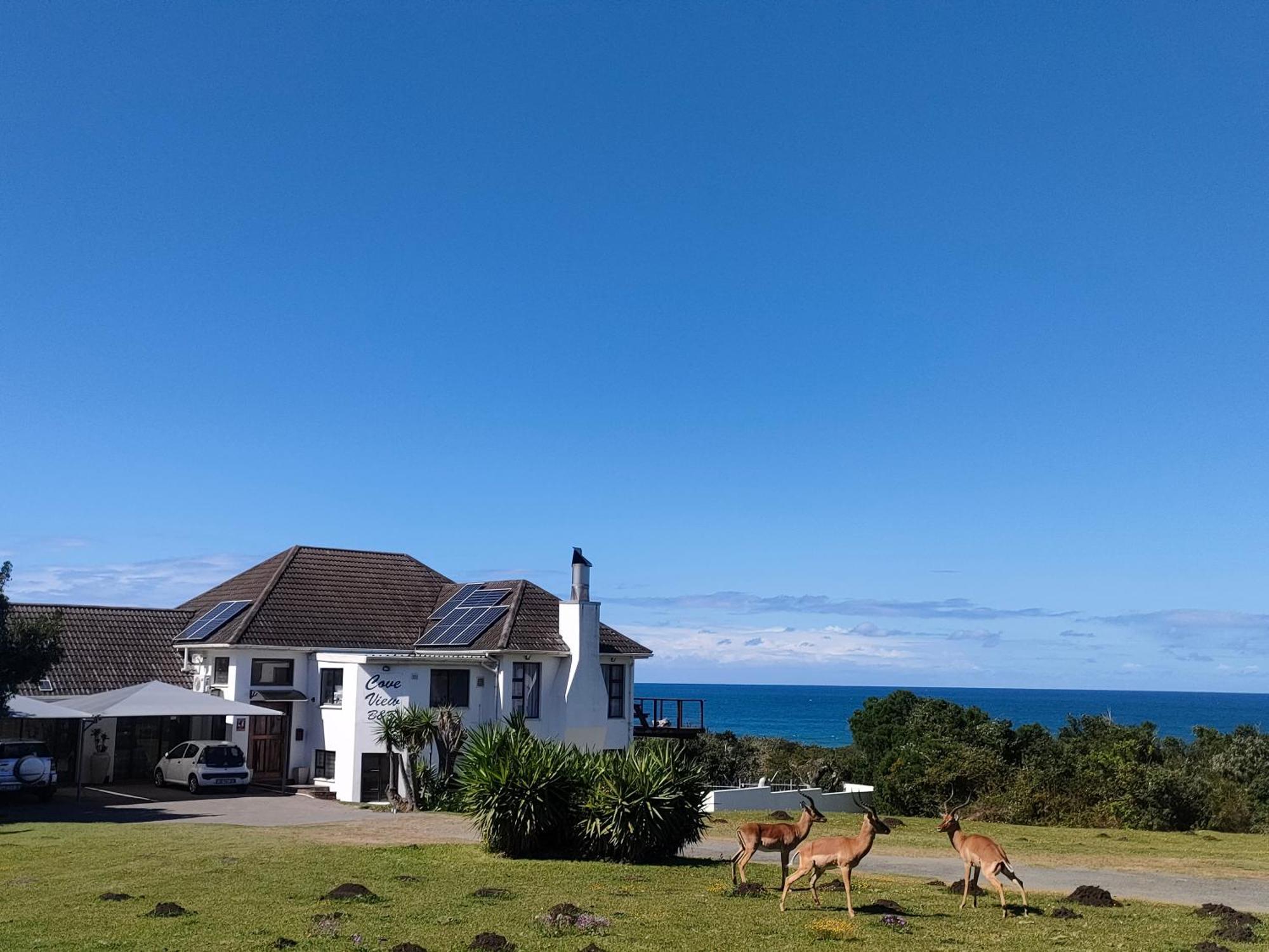 Cove View B&B イースト・ロンドン エクステリア 写真